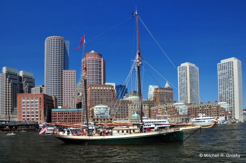 A View of the Tall Ships Against the Boston Skyline